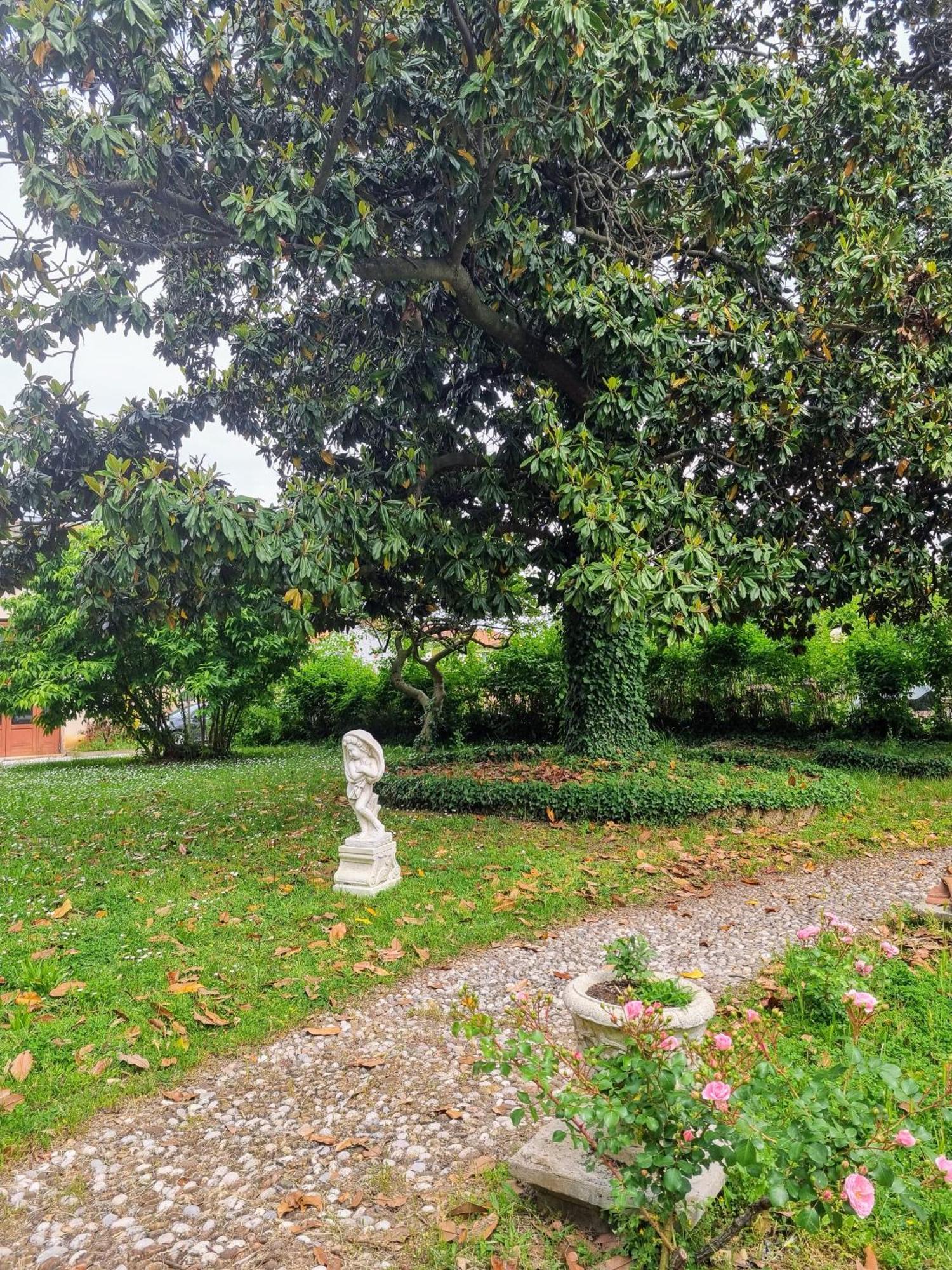 Villa Nani Mocenigo 多洛 外观 照片